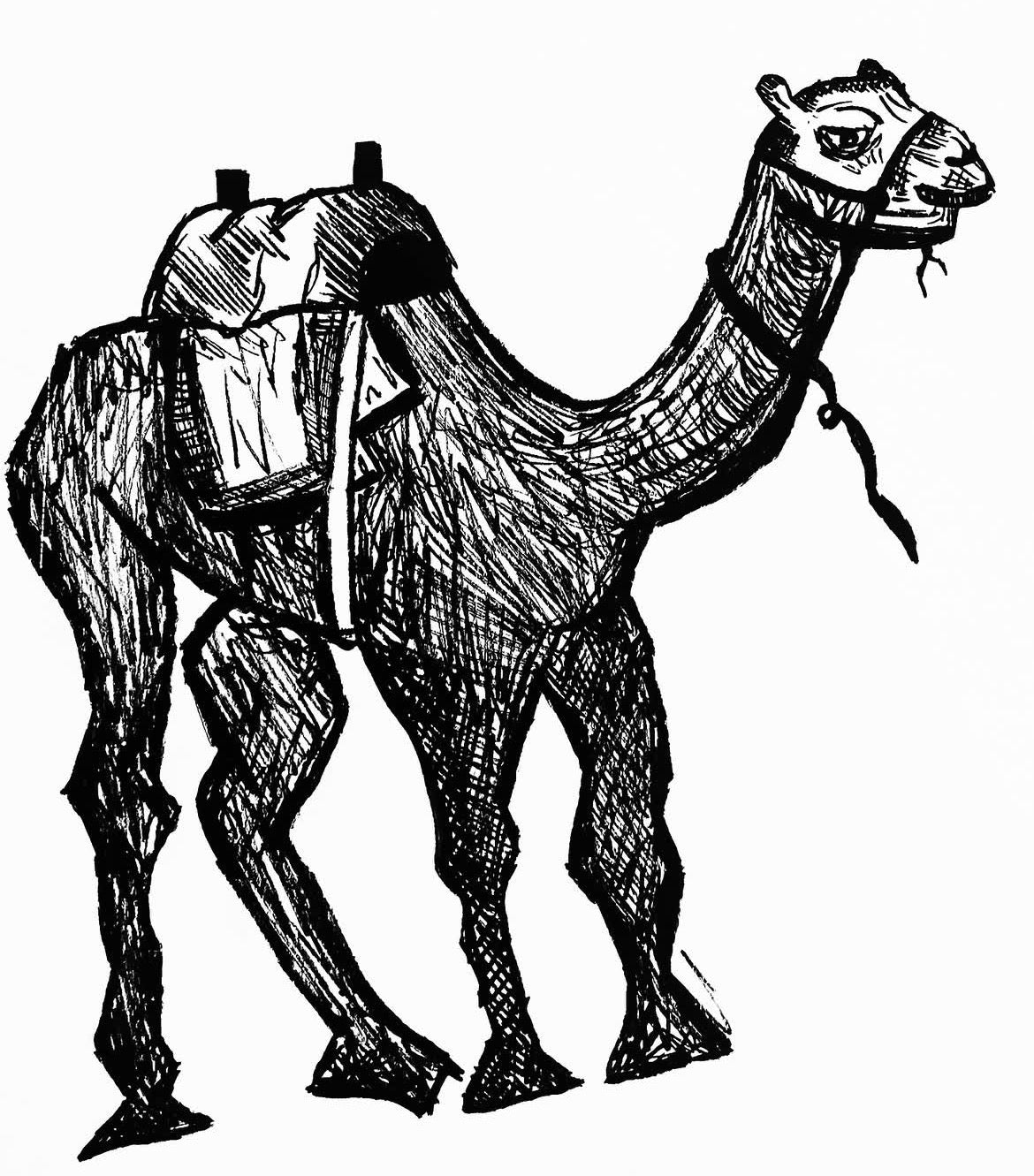 “camel 01”